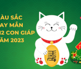 Màu sắc nào hợp phong thủy cho năm Quý Mão 2023??